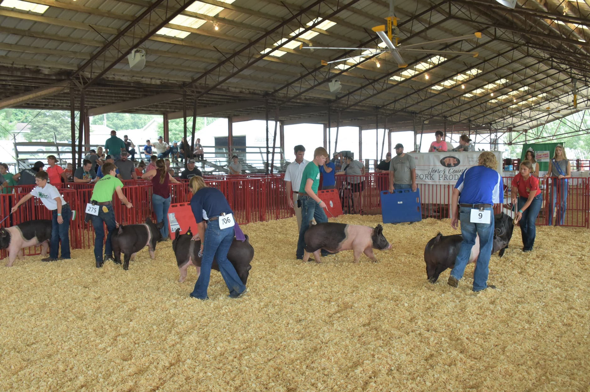 4H & FFA Photos